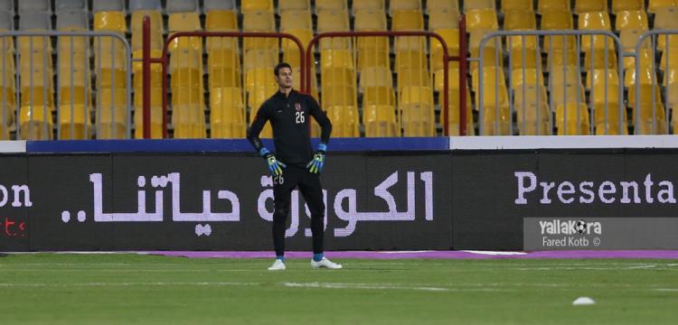محمد الشناوي محمد الشناوي